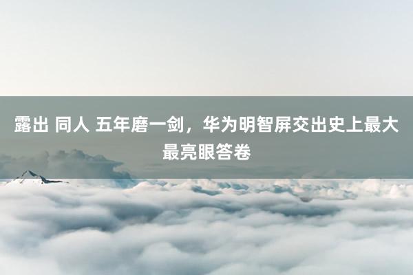 露出 同人 五年磨一剑，华为明智屏交出史上最大最亮眼答卷
