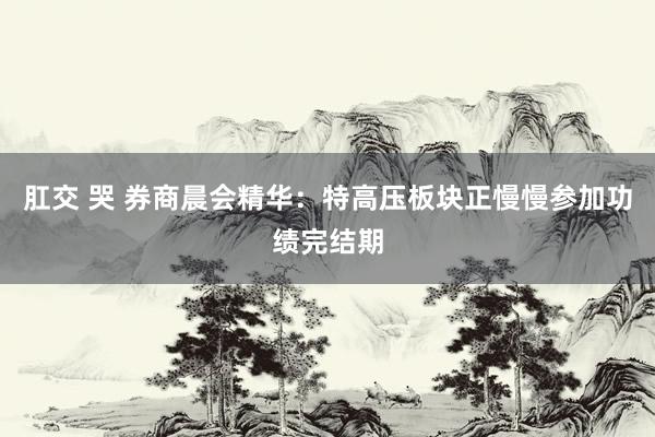 肛交 哭 券商晨会精华：特高压板块正慢慢参加功绩完结期