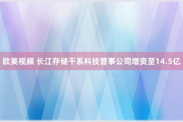 欧美视频 长江存储干系科技管事公司增资至14.5亿