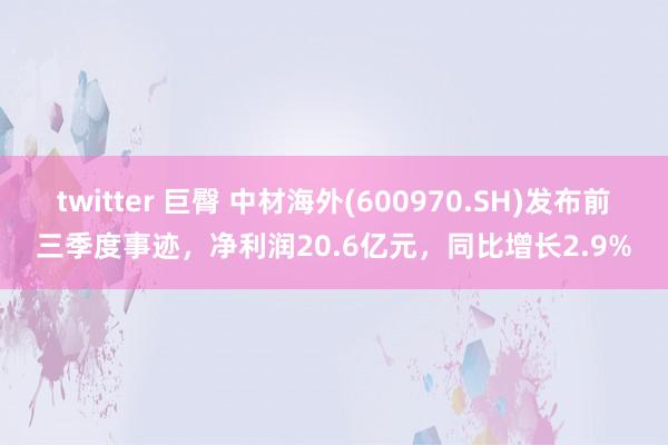 twitter 巨臀 中材海外(600970.SH)发布前三季度事迹，净利润20.6亿元，同比增长2.9%