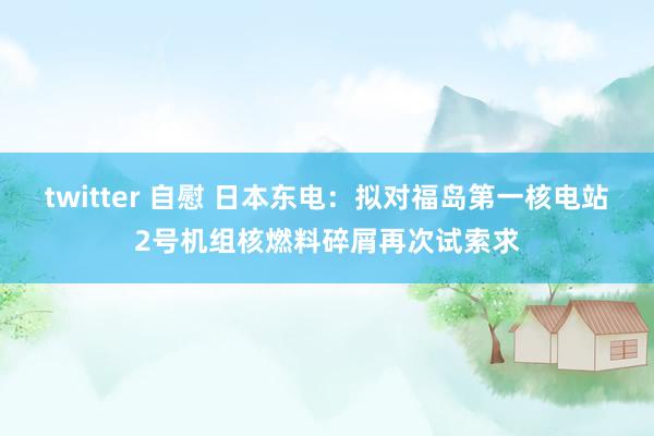 twitter 自慰 日本东电：拟对福岛第一核电站2号机组核燃料碎屑再次试索求