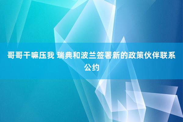 哥哥干嘛压我 瑞典和波兰签署新的政策伙伴联系公约