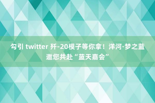 勾引 twitter 歼-20模子等你拿！洋河·梦之蓝邀您共赴“蓝天嘉会”
