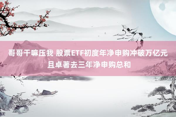 哥哥干嘛压我 股票ETF初度年净申购冲破万亿元 且卓著去三年净申购总和