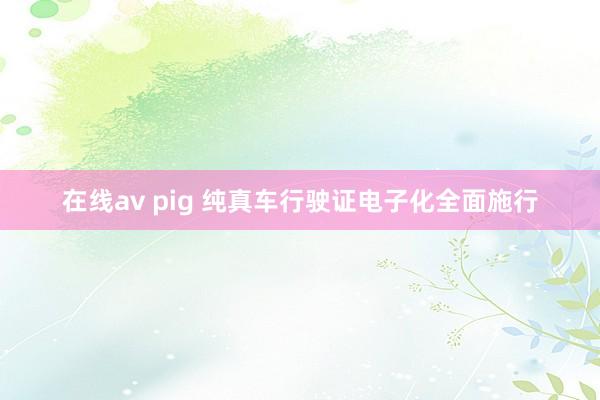 在线av pig 纯真车行驶证电子化全面施行