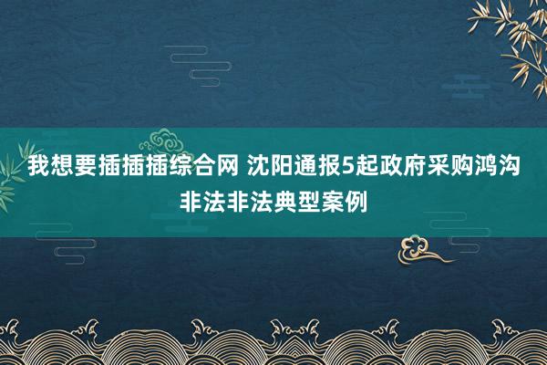 我想要插插插综合网 沈阳通报5起政府采购鸿沟非法非法典型案例