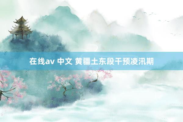 在线av 中文 黄疆土东段干预凌汛期