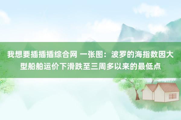 我想要插插插综合网 一张图：波罗的海指数因大型船舶运价下滑跌至三周多以来的最低点