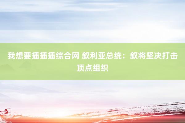 我想要插插插综合网 叙利亚总统：叙将坚决打击顶点组织