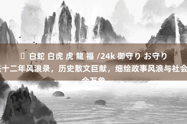 ✨白蛇 白虎 虎 龍 福 /24k 御守り お守り 绍兴十二年风浪录，历史散文巨献，细绘政事风浪与社会万象