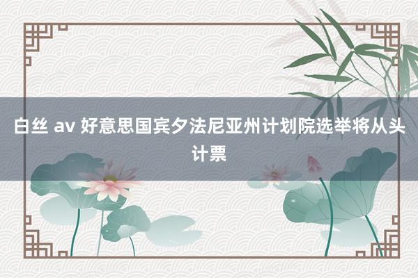 白丝 av 好意思国宾夕法尼亚州计划院选举将从头计票