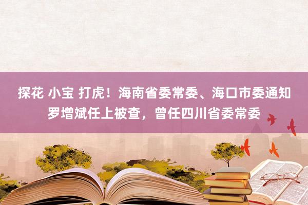 探花 小宝 打虎！海南省委常委、海口市委通知罗增斌任上被查，曾任四川省委常委