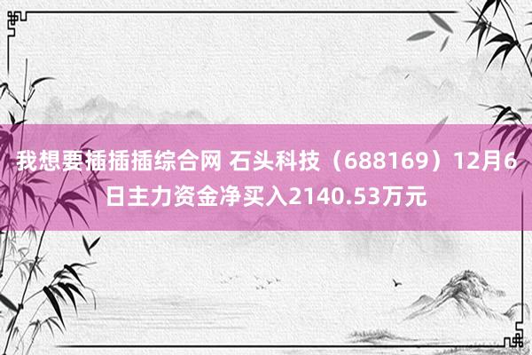 我想要插插插综合网 石头科技（688169）12月6日主力资金净买入2140.53万元