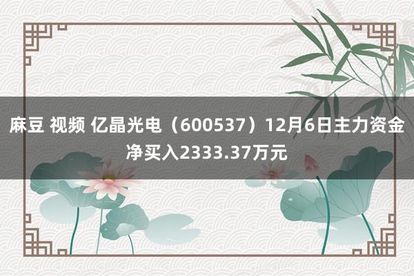 麻豆 视频 亿晶光电（600537）12月6日主力资金净买入2333.37万元