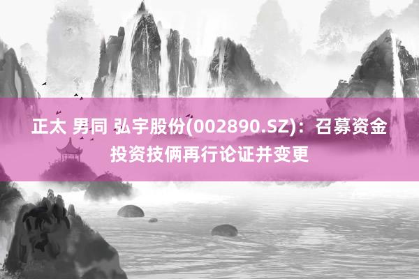 正太 男同 弘宇股份(002890.SZ)：召募资金投资技俩再行论证并变更