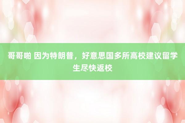哥哥啪 因为特朗普，好意思国多所高校建议留学生尽快返校