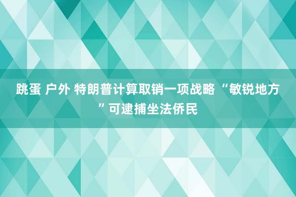 跳蛋 户外 特朗普计算取销一项战略 “敏锐地方”可逮捕坐法侨民