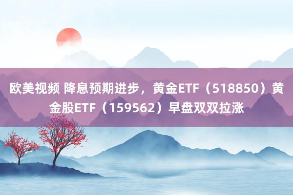 欧美视频 降息预期进步，黄金ETF（518850）黄金股ETF（159562）早盘双双拉涨