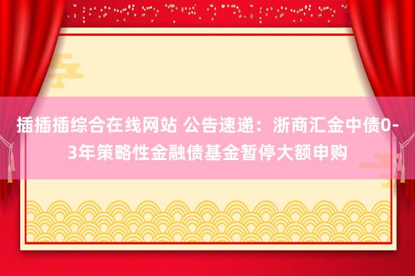 插插插综合在线网站 公告速递：浙商汇金中债0-3年策略性金融债基金暂停大额申购