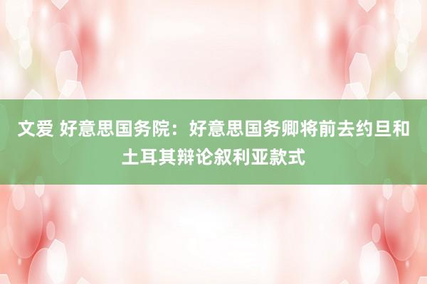 文爱 好意思国务院：好意思国务卿将前去约旦和土耳其辩论叙利亚款式