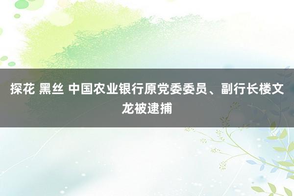 探花 黑丝 中国农业银行原党委委员、副行长楼文龙被逮捕