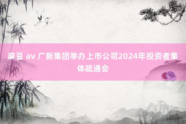 麻豆 av 广新集团举办上市公司2024年投资者集体疏通会