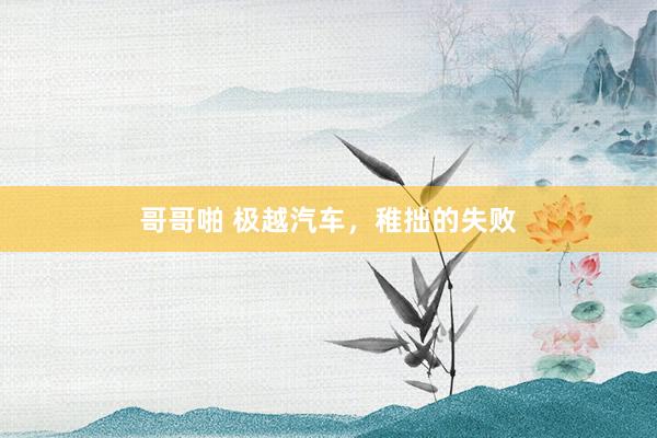 哥哥啪 极越汽车，稚拙的失败