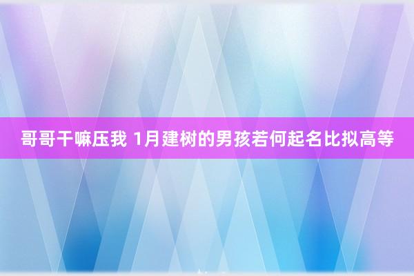 哥哥干嘛压我 1月建树的男孩若何起名比拟高等