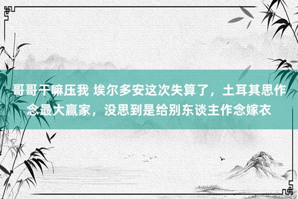 哥哥干嘛压我 埃尔多安这次失算了，土耳其思作念最大赢家，没思到是给别东谈主作念嫁衣