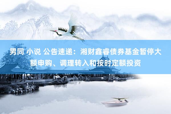 男同 小说 公告速递：湘财鑫睿债券基金暂停大额申购、调理转入和按时定额投资