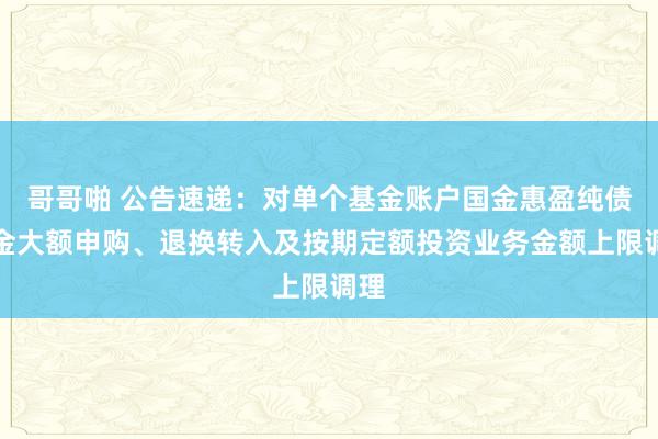 哥哥啪 公告速递：对单个基金账户国金惠盈纯债基金大额申购、退换转入及按期定额投资业务金额上限调理