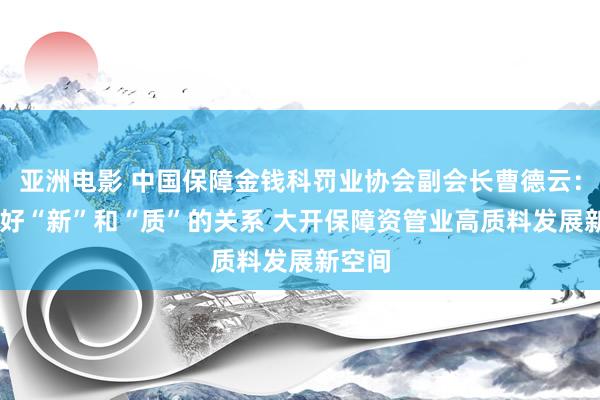 亚洲电影 中国保障金钱科罚业协会副会长曹德云： 主理好“新”和“质”的关系 大开保障资管业高质料发展新空间