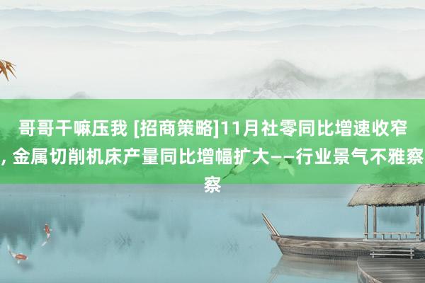 哥哥干嘛压我 [招商策略]11月社零同比增速收窄, 金属切削机床产量同比增幅扩大——行业景气不雅察