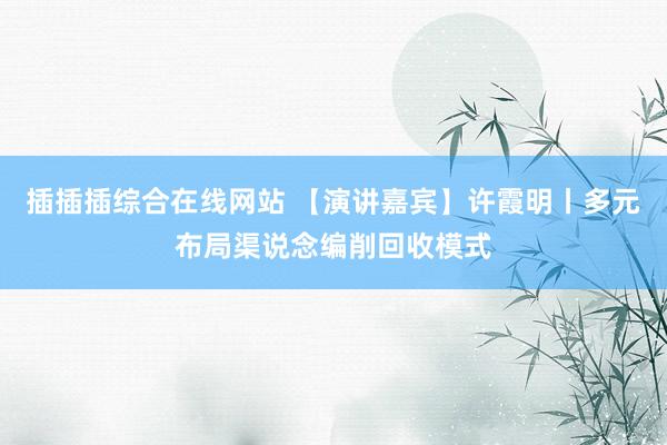 插插插综合在线网站 【演讲嘉宾】许霞明丨多元布局渠说念编削回收模式