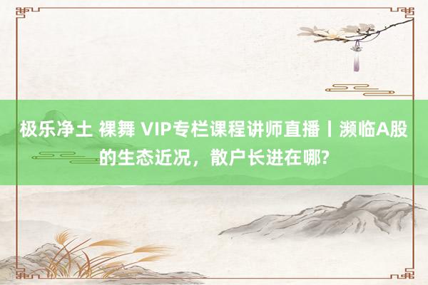 极乐净土 裸舞 VIP专栏课程讲师直播丨濒临A股的生态近况，散户长进在哪?