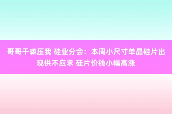哥哥干嘛压我 硅业分会：本周小尺寸单晶硅片出现供不应求 硅片价钱小幅高涨