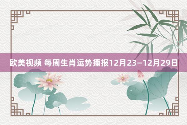 欧美视频 每周生肖运势播报12月23—12月29日