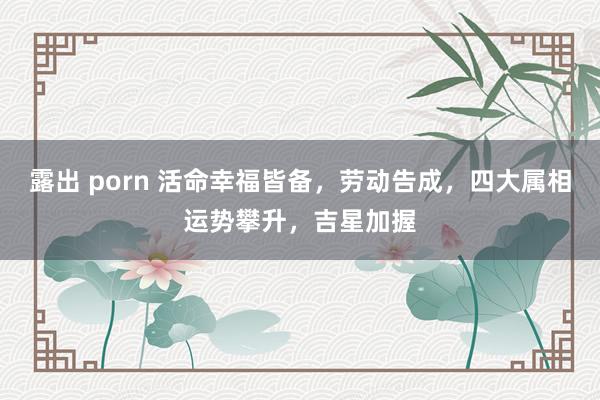露出 porn 活命幸福皆备，劳动告成，四大属相运势攀升，吉星加握