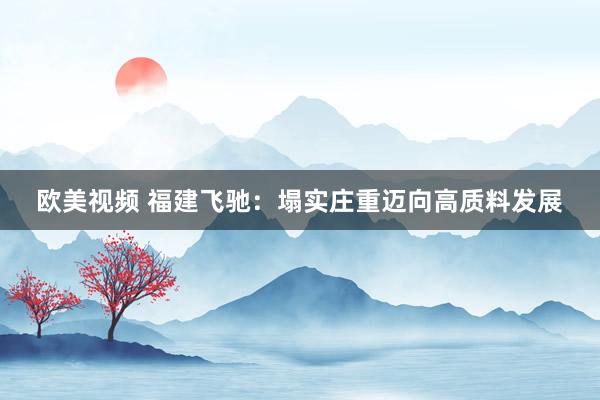 欧美视频 福建飞驰：塌实庄重迈向高质料发展