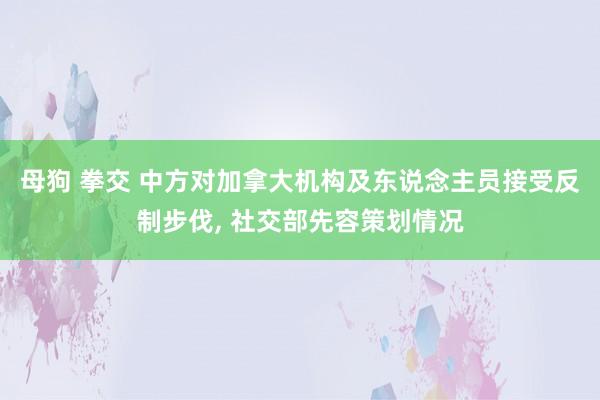 母狗 拳交 中方对加拿大机构及东说念主员接受反制步伐, 社交部先容策划情况