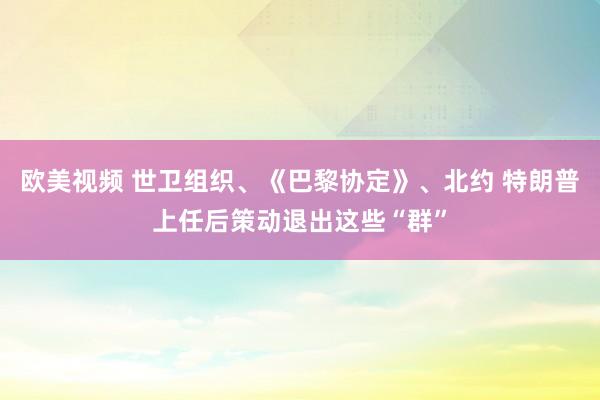 欧美视频 世卫组织、《巴黎协定》、北约 特朗普上任后策动退出这些“群”