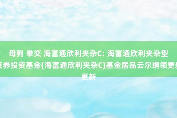 母狗 拳交 海富通欣利夹杂C: 海富通欣利夹杂型证券投资基金(海富通欣利夹杂C)基金居品云尔纲领更新