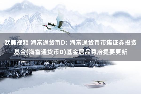 欧美视频 海富通货币D: 海富通货币市集证券投资基金(海富通货币D)基金居品尊府提要更新