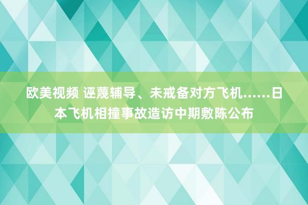 欧美视频 诬蔑辅导、未戒备对方飞机......日本飞机相撞事故造访中期敷陈公布