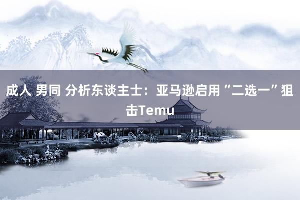 成人 男同 分析东谈主士：亚马逊启用“二选一”狙击Temu