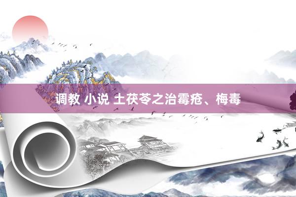 调教 小说 土茯苓之治霉疮、梅毒