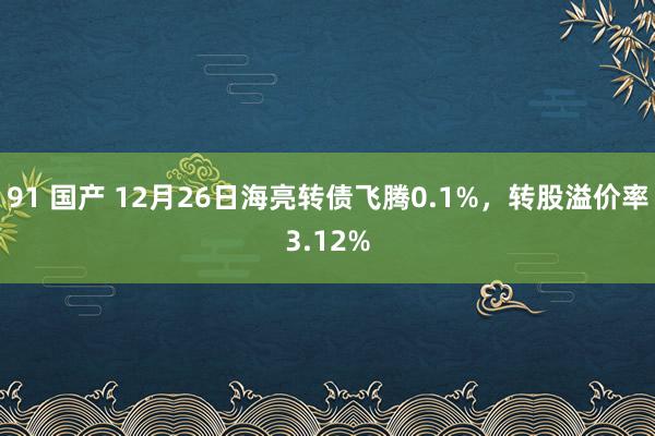 91 国产 12月26日海亮转债飞腾0.1%，转股溢价率3.12%