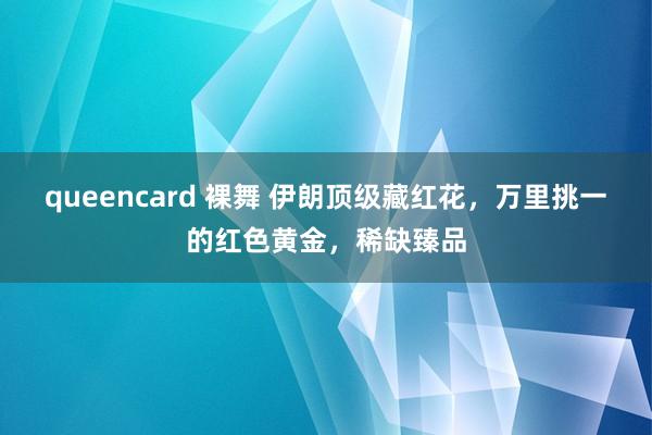 queencard 裸舞 伊朗顶级藏红花，万里挑一的红色黄金，稀缺臻品