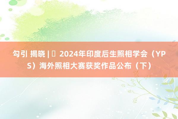 勾引 揭晓 | ​2024年印度后生照相学会（YPS）海外照相大赛获奖作品公布（下）