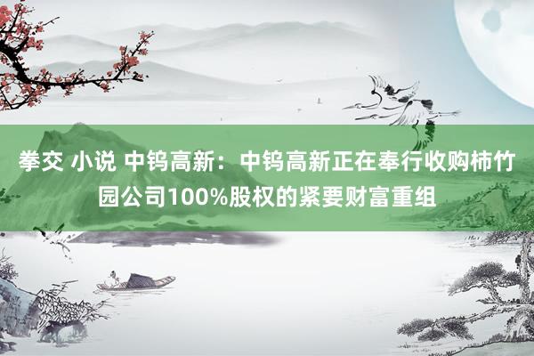 拳交 小说 中钨高新：中钨高新正在奉行收购柿竹园公司100%股权的紧要财富重组